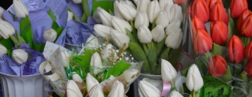 Мариупольцы дарят своим любимым розы и тюльпаны (ФОТО+ВИДЕО)