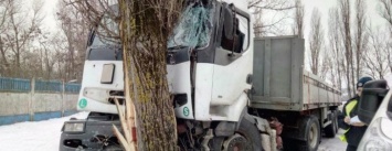 В Чернигове пьяный водитель фуры врезался в дерево
