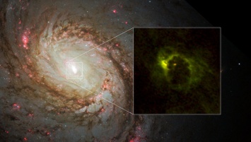 Астрономы впервые увидели "бублик", который ест черная дыра