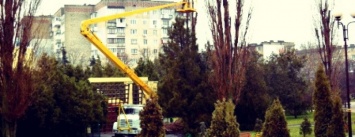 «Зеленхоз» продолжает подрезку деревьев в Черноморске