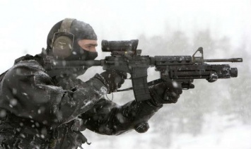 Канада собирается поставлять в Украину свои винтовки