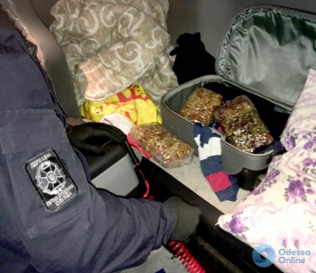 На таможне Черноморского порта обнаружили 20 кг контрабандного янтаря