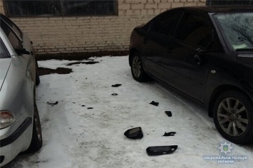 Одесский активист порубил топором машины судей Соломенского райсуда Киева - за отказ сажать Труханова