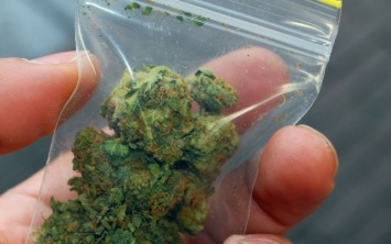 У жителя Днепропетровщины обнаружили пакеты с марихуаной