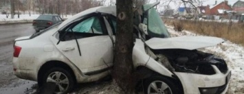 На трассе Старобельск-Луганск-Донецк авто влетело в дерево, водитель погиб