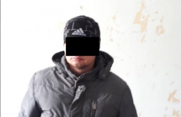 Госпогранслужба: в Донецкой области задержан боевик Оплота