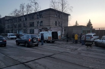 "Собачий терроризм": В Бердянске "активисты" разбили машину, которая ловила бродячих животных