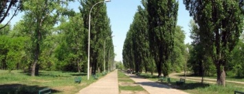 Столичный парк "Дружбы народов" могут переименовать на парк "Муромец"