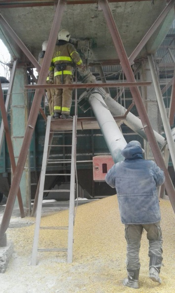 Под Киевом рабочий упал в бункер с кукурузой и задохнулся