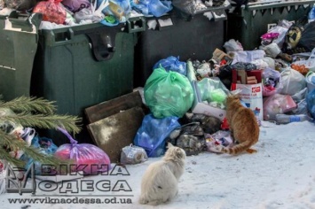 Одесские экологи предложили заменить сожжение мусора на переработку