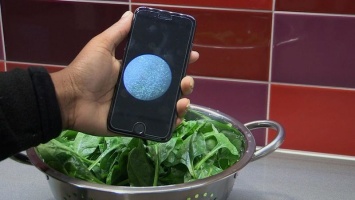 Специальное приложение для смартфона защитит от пищевых отравлений