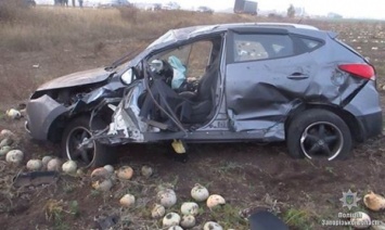 Женщину-водителя обвиняют в смертельном ДТП под Запорожьем