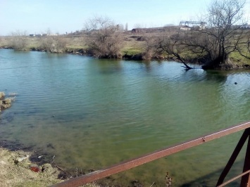 Река Веревчина в Херсоне зимой - "лазурная" вода и субтропический рай для лягушек
