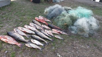 Сотрудники рыбоохраны обнаружили на Херсонщине браконьерские сети