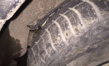Пробитое колесо: водитель отсудил у дорожников 11 тысяч гривень