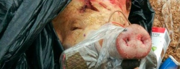 В Запорожье на Металлургов нашли свиную голову с гранатой во рту, - ФОТО