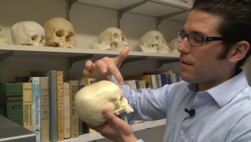 Ученые выяснили, как появились "черепа пришельцев" у древних инков