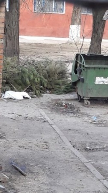 "Нехудожественный район": херсонцы жалуются на мусор во дворах