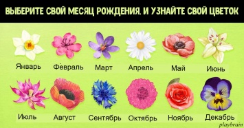 Какой цветок - ваш по праву рождения? И что это говорит о вас?