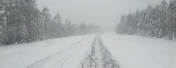 В Запорожской области автомобили застревают в снегу: на помощь вызывают спасателей