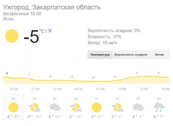 Опубликованы фото, как несмотря на морозы в Ужгороде зацвел шафран