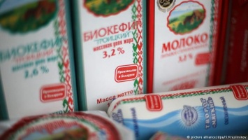 Россия запретила ввоз молочной продукции из Беларуси