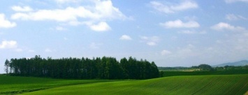 Запорожские громады получили в свое распоряжение от Кабмина земли сельхозназначения