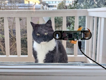 Голландец выпускает кота домой с помощью системы распознавания морды