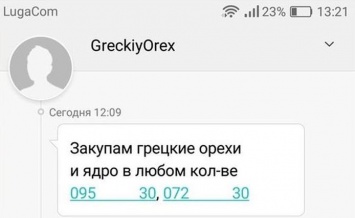 Грецкие орехи и прогноз погоды: «Лугаком» "заспамил" своих абонентов