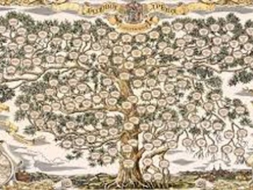 Генетики построили самое большое генеалогическое древо из 13 миллионов человек