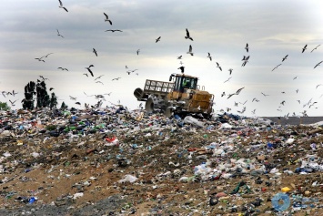В Одессе за прошлый год волонтеры утилизировали 107 тонн отходов