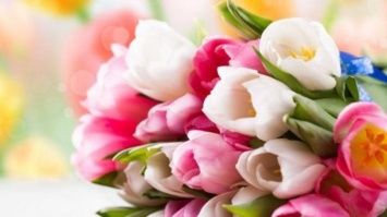 Миллион алых роз: в Киеве появилось кладбище цветов