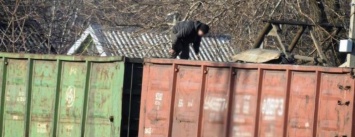 В Донецкой области задержали преступную группу, которая занималась хищениями угля (ФОТО)