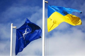 Спиридонов: У Украины сегодня еще меньше оснований для вступления в НАТО, чем во времена Ющенко