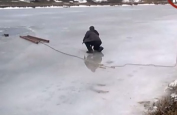 В Запорожской области очевидцы спасли собаку, провалившуюся под лед (Видео)