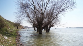На уровне воды в Дунае талый снег в целом не сказался