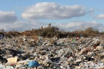 На мусорной свалке возле Матвеевки нашли человеческие останки - полиция проводит расследование