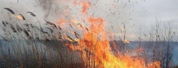 Бердянские спасатели дважды за день выезжали на пожар в экосистеме