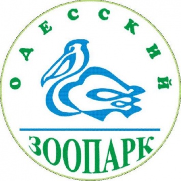 В честь Дня пеликана Одесский зоопарк проводит фотоконкурс