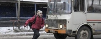 Детям - безопасность: в Каменском просят установить светофор возле школы