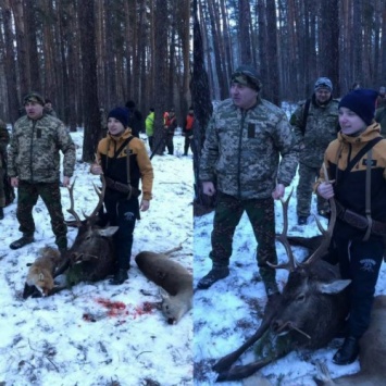 Глава Луганской ОГА Гарбуз засветился на охоте с убитыми лисой и оленем (фото 18+)