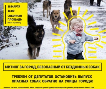 Николаевцы выйдут на митинг с требованием к горсовету не отпускать отловленных бездомных псов обратно на улицы