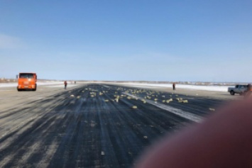 В Якутске началась "золотая лихорадка": люди ищут выпавшие из самолета слитки золота