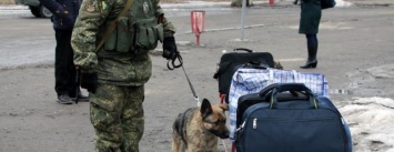 Почему в Покровске полицейские со служебными собаками проверяют поезда и автобусы