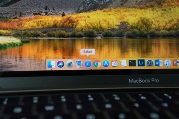 Как быстро выключить все расширения в Safari для Mac?