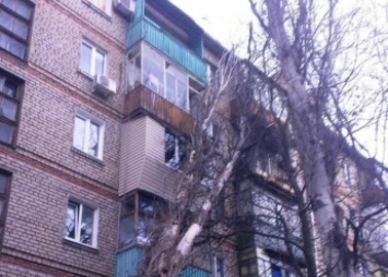 В Мелитополе тополь упал на пятиэтажный дом (фото)
