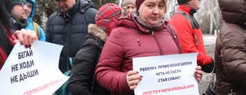 В Николаеве прошел митинг посвящен борьбе с бездомными собаками, - ФОТО