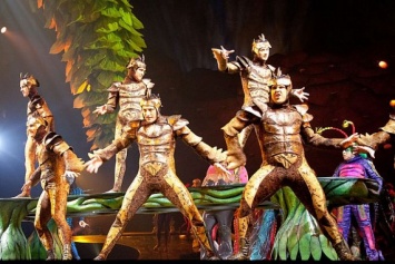 Акробат Cirque du Soleil погиб во время выступления