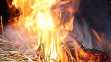 В Запорожской области огонь уничтожил более 300 тюков с соломой и сеном