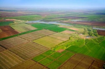 "Астарта" в 2018г планирует увеличить площади под кукурузой и подсолнечником